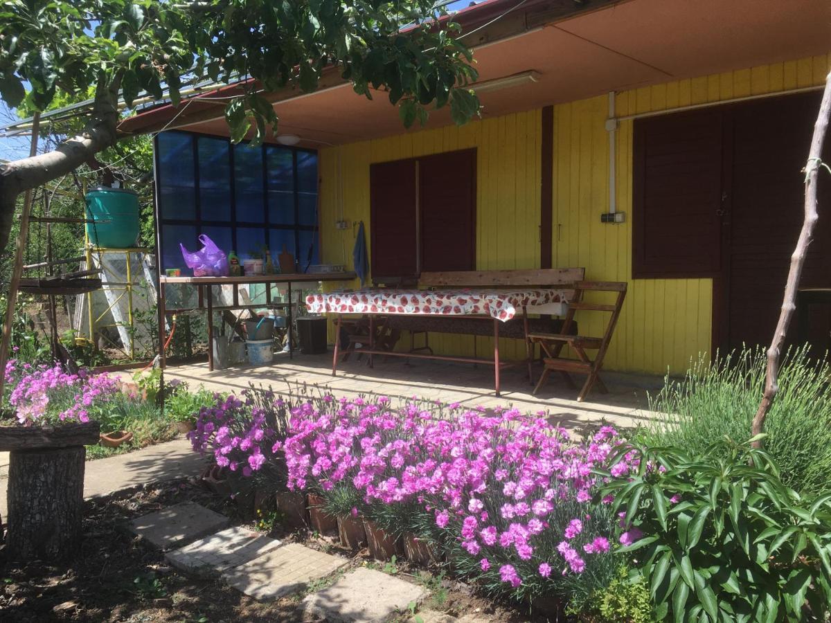Бунгало- Bungalow Kawarna Exterior foto